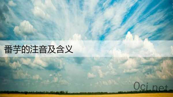 番芋的注音及含义