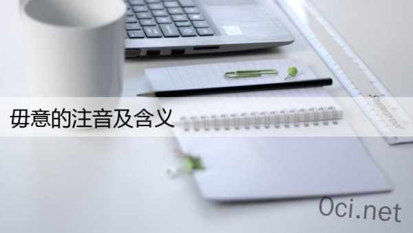 毋意的注音及含义