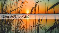 领府的意思，怎么读？