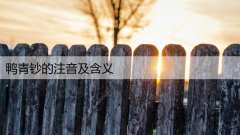 鸭青钞的注音及含义