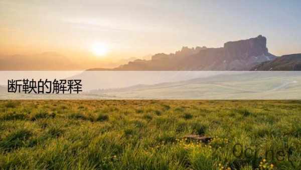 断鞅的解释
