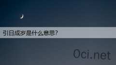 引日成岁是什么意思？