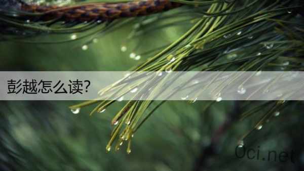 彭越怎么读？