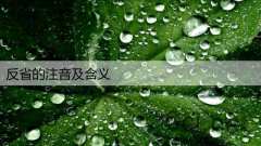 反省的注音及含义