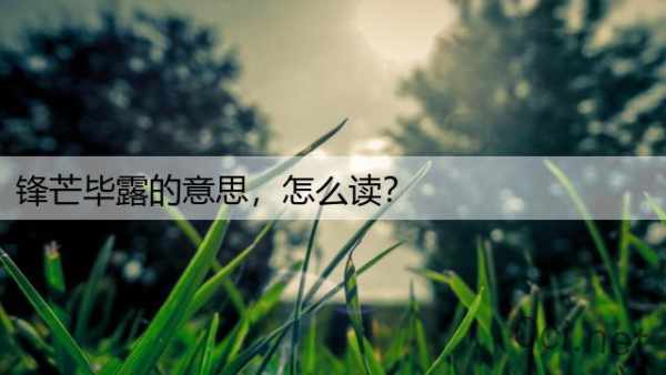 锋芒毕露的意思，怎么读？