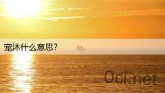 宠沐什么意思？