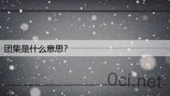 团集是什么意思？