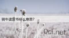 骑牛读汉书什么意思？