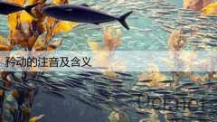 矜动的注音及含义