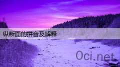 纵断面的拼音及解释