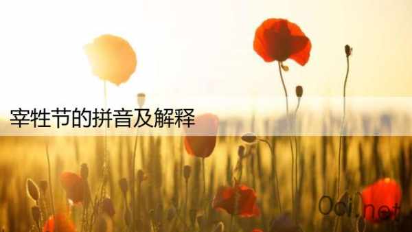宰牲节的拼音及解释