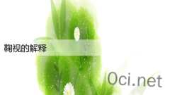 鞠视的解释