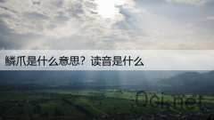 鳞爪是什么意思？读音是什么
