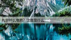 九宗什么意思？读音是什么