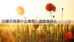 白璧无瑕是什么意思？读音是什么