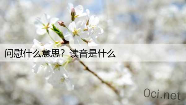 问慰什么意思？读音是什么