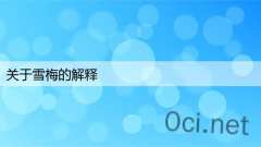 关于雪梅的解释