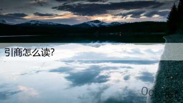 引商怎么读？