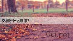 交易所什么意思？