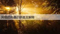 阿细的先基的拼音及解释