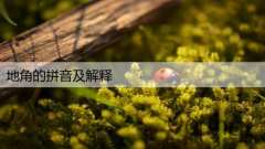 地角的拼音及解释