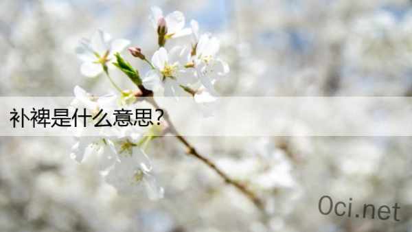 补裨是什么意思？