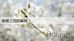 骨鲠之臣的解释