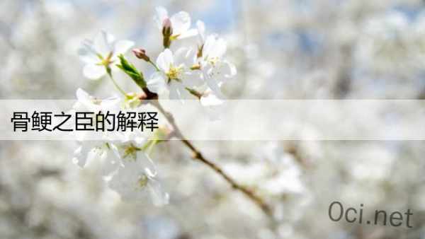 骨鲠之臣的解释