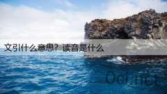 文引什么意思？读音是什么