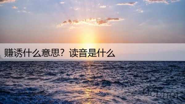 赚诱什么意思？读音是什么
