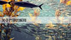 关于竹弹的解释
