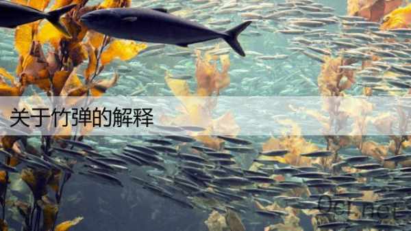 关于竹弹的解释