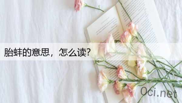 胎蚌的意思，怎么读？