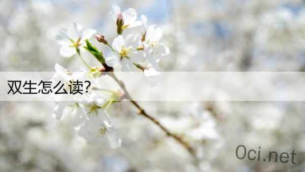 双生怎么读？