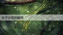 关于沙坻的解释