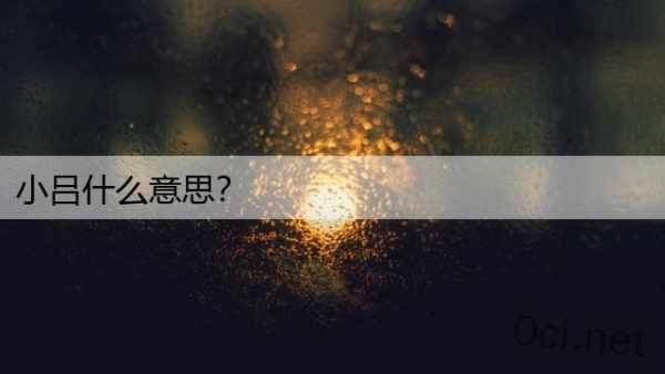 小吕什么意思？