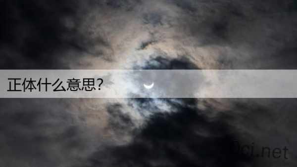 正体什么意思？