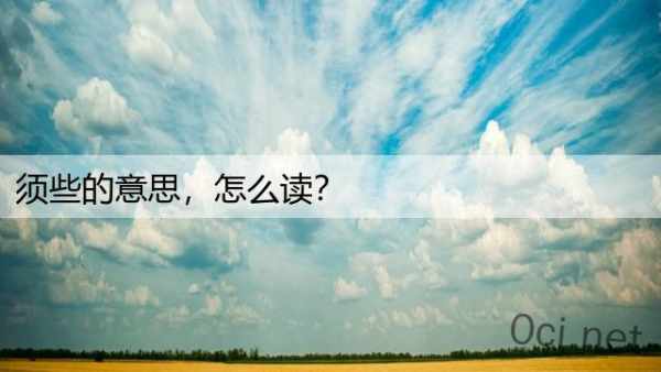 须些的意思，怎么读？