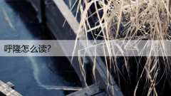 呼隆怎么读？