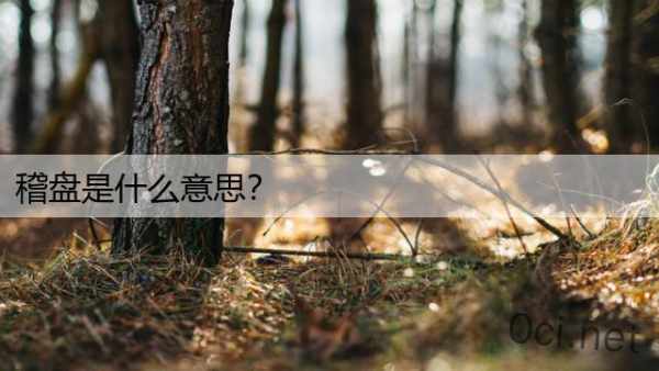 稽盘是什么意思？