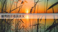 躯壳的注音及含义