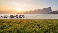 傍牌的拼音及解释