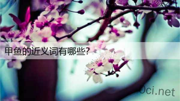 甲鱼的近义词有哪些？