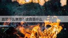 直竖什么意思？读音是什么