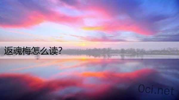 返魂梅怎么读？