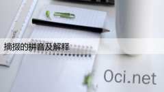 摘掇的拼音及解释