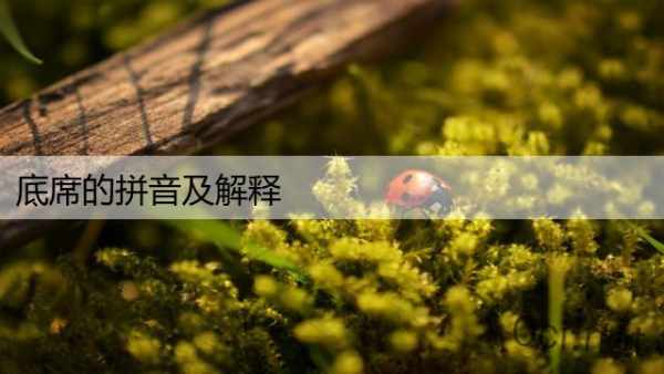 底席的拼音及解释
