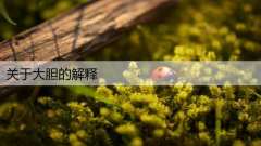 关于大胆的解释