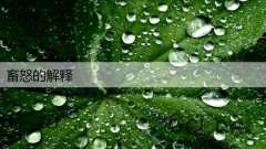 畜怒的解释