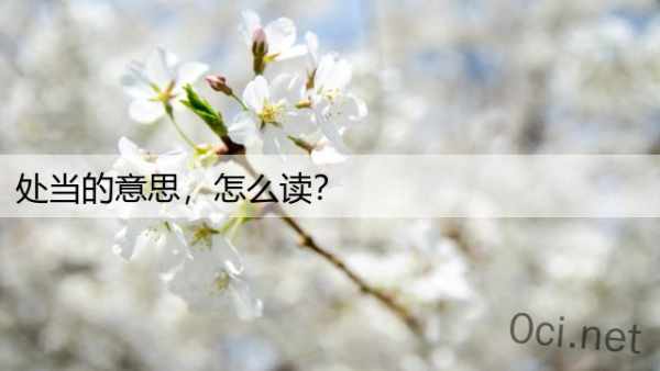 处当的意思，怎么读？